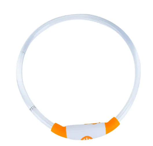 Collar para perro recargable