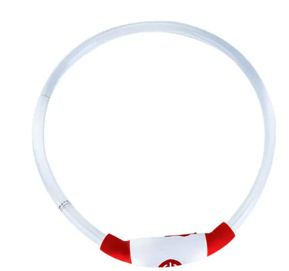 Collar para perro recargable